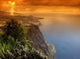 Madeira Wall Decal
