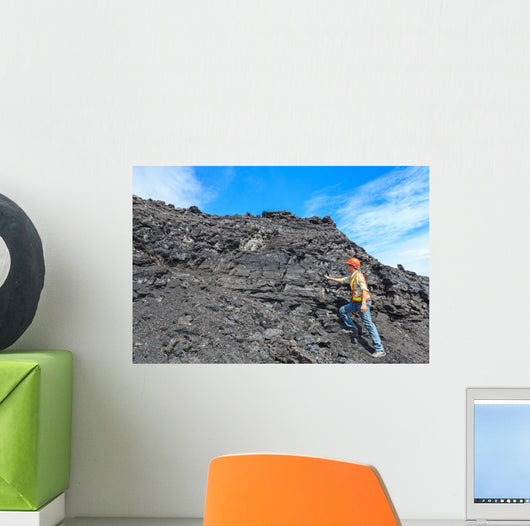 Coal Geologist Wall Decal