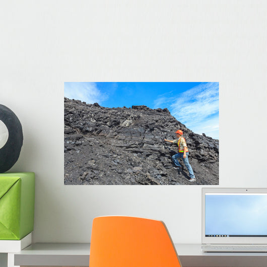 Coal Geologist Wall Decal