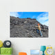 Coal Geologist Wall Decal