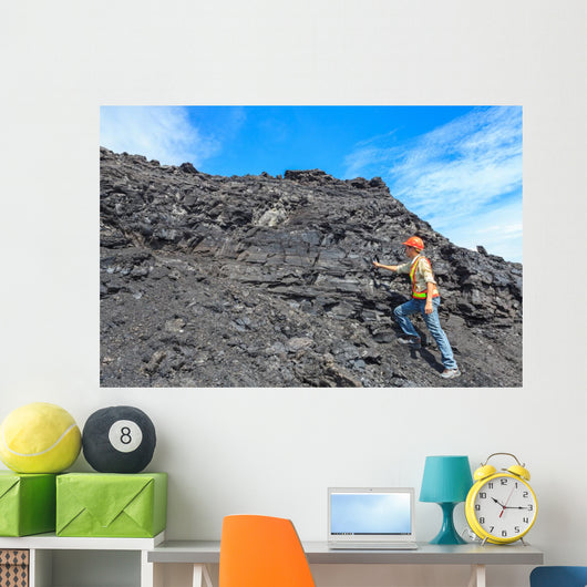 Coal Geologist Wall Decal