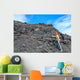 Coal Geologist Wall Decal