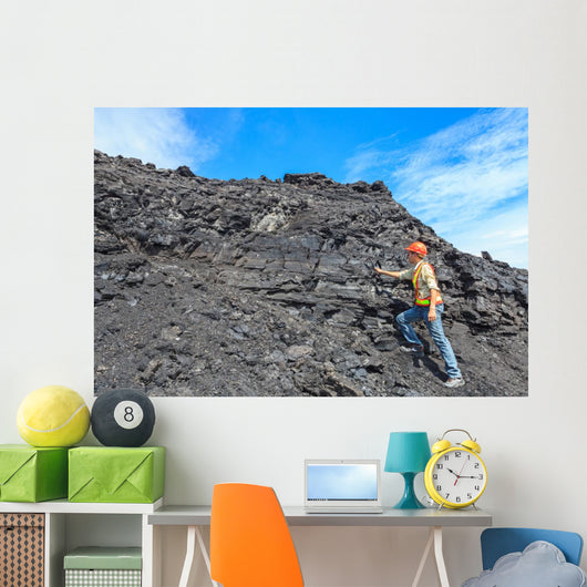 Coal Geologist Wall Decal