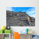Coal Geologist Wall Decal
