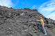 Coal Geologist Wall Decal