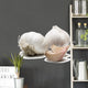 garlic Wall Decal