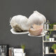 garlic Wall Decal