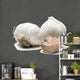 garlic Wall Decal
