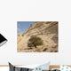 Lonely Tree Negev Desert Wall Decal