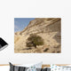 Lonely Tree Negev Desert Wall Decal
