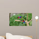 Black-capped Lory Wall Mural