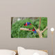 Black-capped Lory Wall Mural
