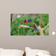 Black-capped Lory Wall Mural