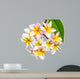 Leelawadee flower isolated Wall Decal