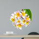 Leelawadee flower isolated Wall Decal