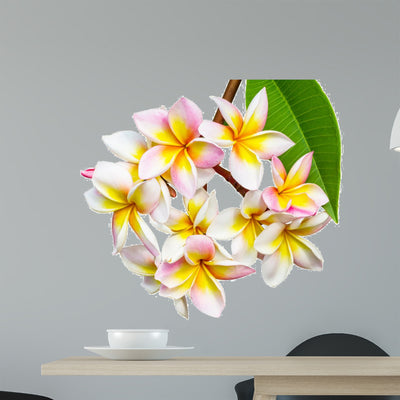 Leelawadee Flower Wall Decal shown on a wall