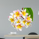 Leelawadee flower isolated Wall Decal