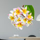 Leelawadee flower isolated Wall Decal