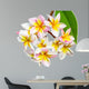 Leelawadee flower isolated Wall Decal