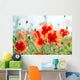 Red Poppy Color Summer