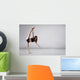 Teen Dancer Wall Decal