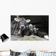 Cows Farm Wall Decal