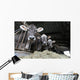 Cows Farm Wall Decal