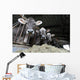 Cows Farm Wall Decal
