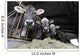 Cows Farm Wall Decal