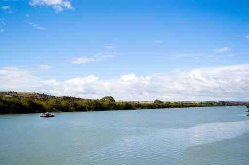 Old Man River Wall Decal