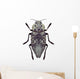 Beetle Metallic Wood Borer Capnodis Cariosa Wall Decal