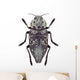 Beetle Metallic Wood Borer Capnodis Cariosa Wall Decal