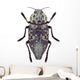 Beetle Metallic Wood Borer Capnodis Cariosa Wall Decal
