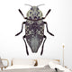 Beetle Metallic Wood Borer Capnodis Cariosa Wall Decal