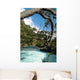 Rio Petrohue Wall Decal