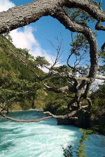 Rio Petrohue Wall Decal