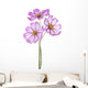 Cosmos