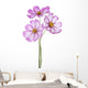 Cosmos