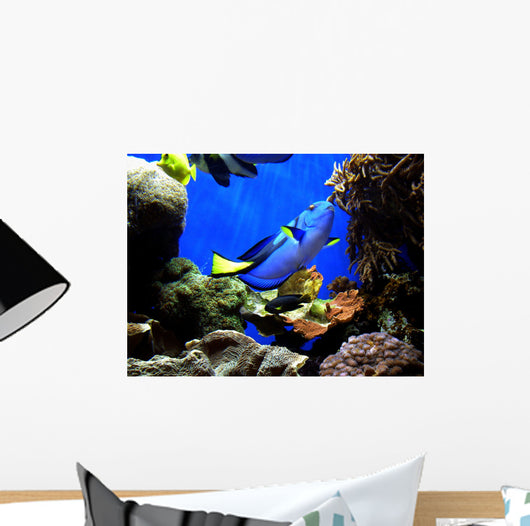 Finding Nemo's Dory Wall Mural