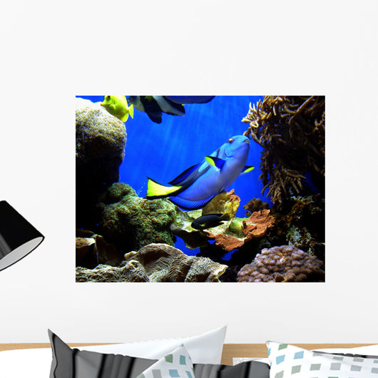 Finding Nemo's Dory Wall Mural