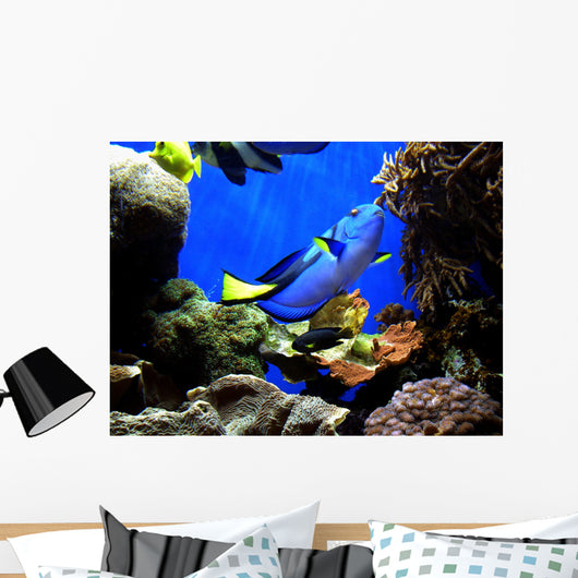 Finding Nemo's Dory Wall Mural