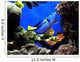 Finding Nemo's Dory Wall Mural