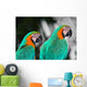 Papagei 9250 Wall Mural