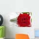 Reflected Single Red Rose Wall Mural
