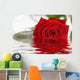 Red Rose Laying on a Mirror Wall Mural