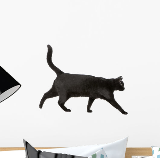 Black cat Wall Decal