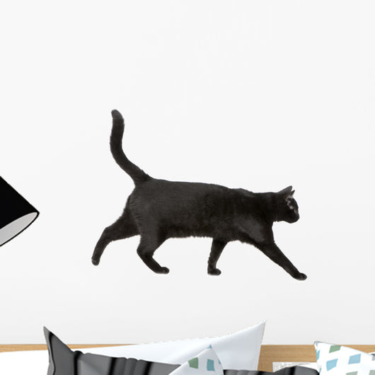 Black cat Wall Decal