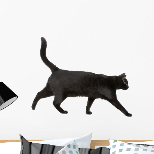 Black cat Wall Decal