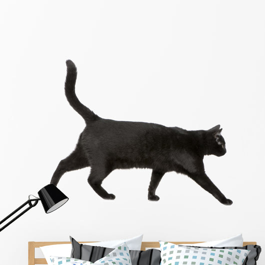 Black cat Wall Decal