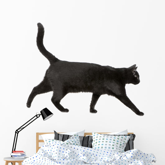 Black cat Wall Decal